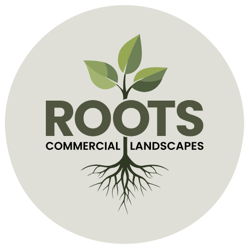 Roots